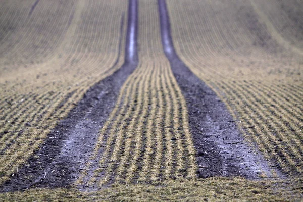 Ländliche Landwirtschaft Ackerland — Stockfoto