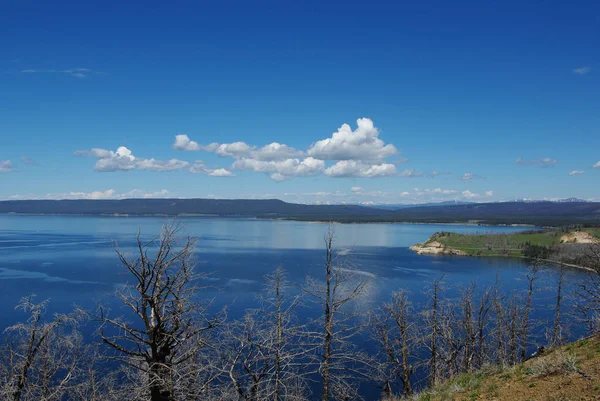 Lac Yellowstone Rivage Wyoming — Photo