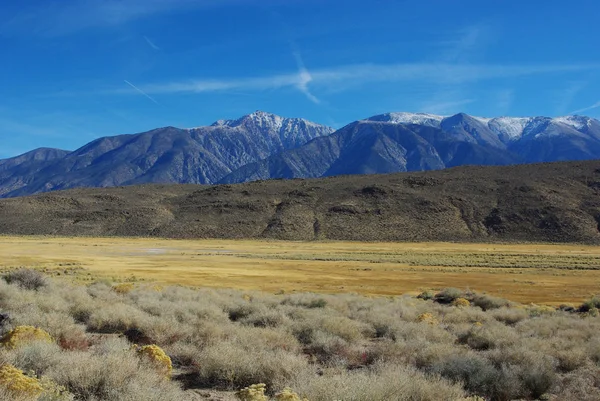 Alta Impresión Desértica Con Montañas Blancas Región Fronteriza Nevada California — Foto de Stock