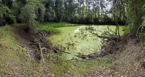 Malebný Pohled Krajinu Přírody — Stock fotografie