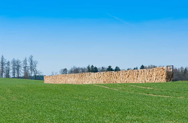 Dřevěná Hromada Palivové Dříví Poli — Stock fotografie