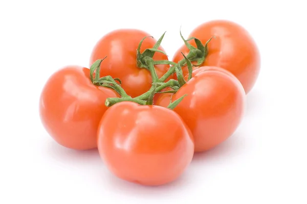 유기농 토마토 — 스톡 사진