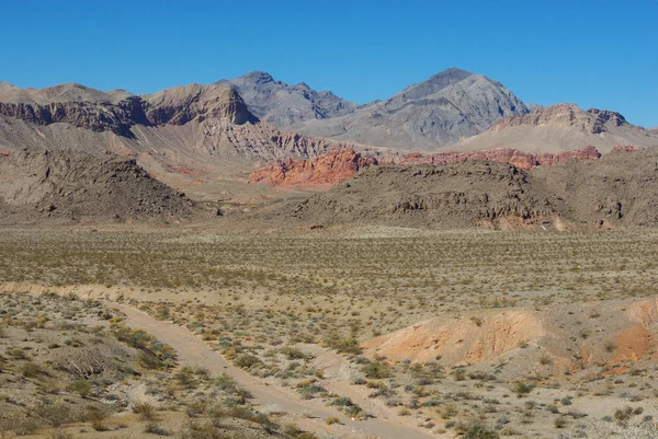 Colores Del Desierto Nevada — Foto de Stock