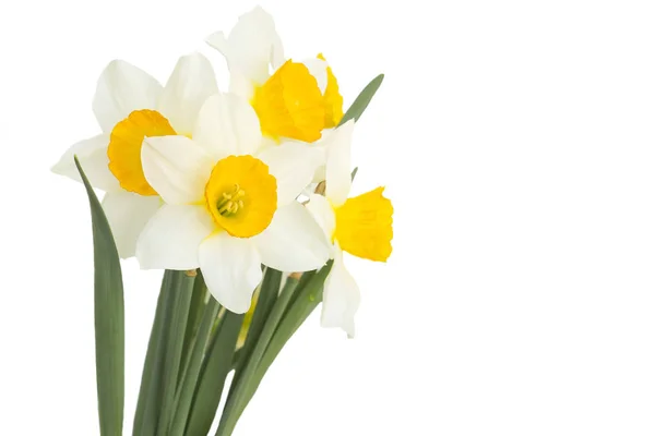 Verschiedene Blüten Selektiver Fokus — Stockfoto