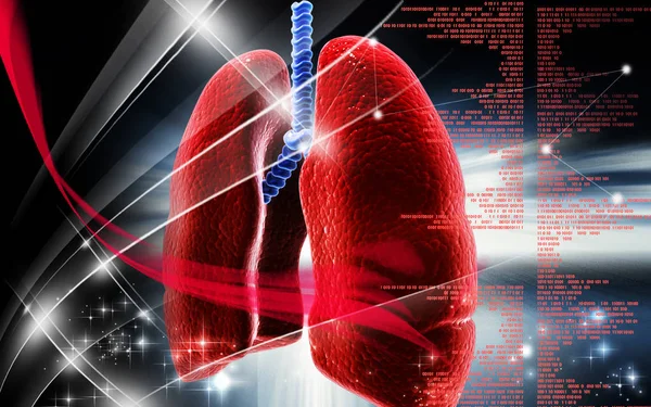 Ilustración Digital Los Pulmones Humanos Fondo Color —  Fotos de Stock