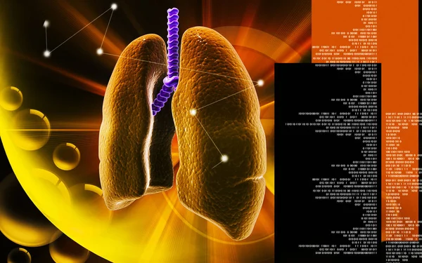 Digital Illustration Human Lungs Colour Background — Stockfoto