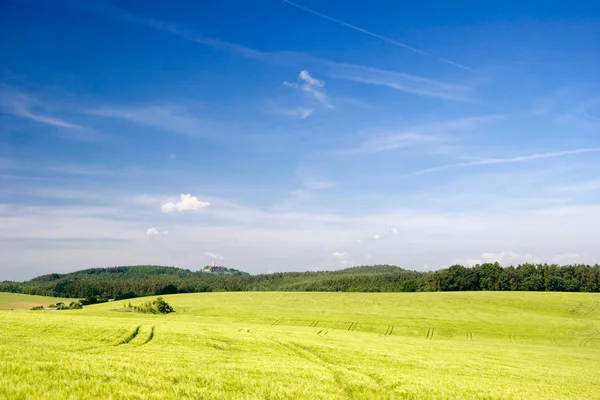 Getreidefeld Thüringen Mit Leuchtenburg Hintergrund — Stockfoto