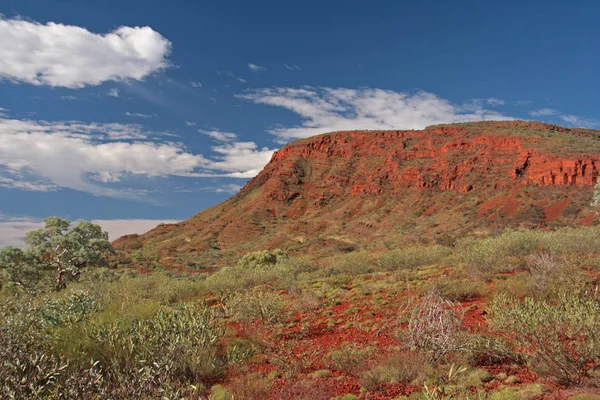 Panorama Mount Nameless Australia — Stock Photo, Image