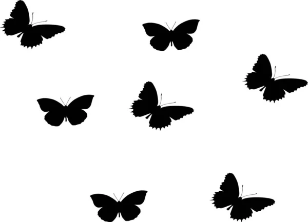 Schmetterlinge Auf Weißem Hintergrund — Stockfoto