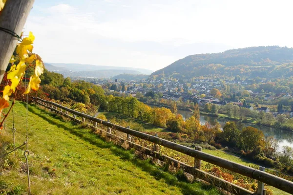 Wasserliesch Mosel Nära Trier Höst — Stockfoto