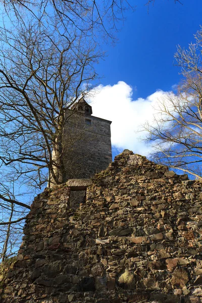 Vista Panorâmica Majestosa Arquitetura Medieval Castelo — Fotografia de Stock