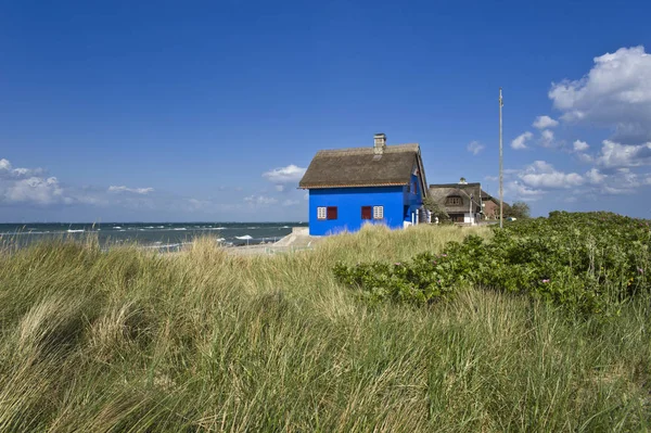 메뚜기 Heiligenhafen Baltic Schleswig Holstein Germany Europe — 스톡 사진