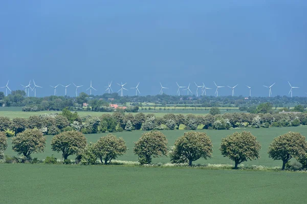 Wind Power Park Fehmarn — Stock Photo, Image