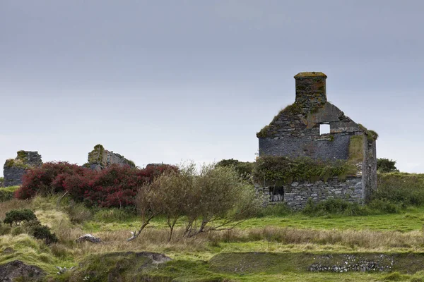 Opuštěný Dům Irsku — Stock fotografie