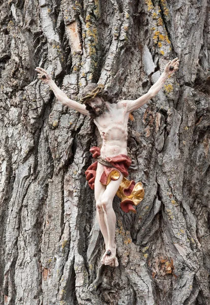 Kristova Postava Dřeva Stromě — Stock fotografie