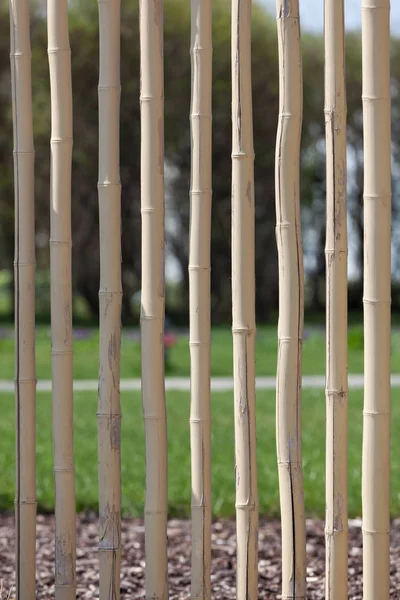 Close Fence Made Bamboo — Stock Photo, Image