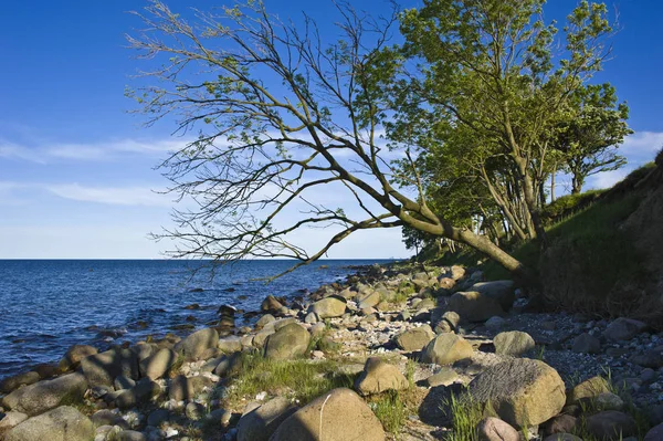 悬崖峭壁上的刺刀刺 飞马岛 波罗的海 石勒苏益格 荷尔斯泰因 — 图库照片
