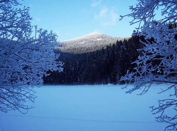 Inverno Grande Arber Bavaria Inferior — Fotografia de Stock