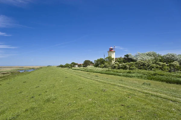 Deniz Feneri Batı Markelsdorf Insel Fehmarn — Stok fotoğraf