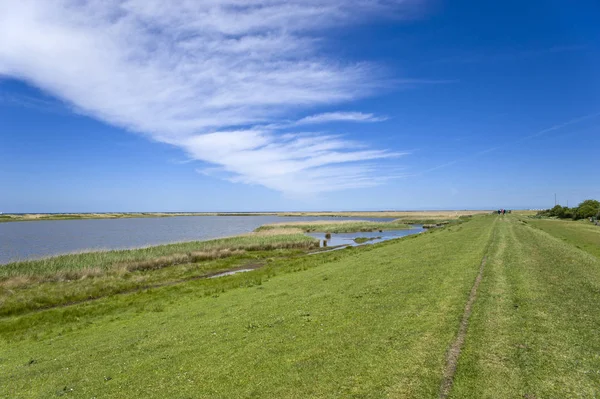 Landscape Flood Dike Westermarkelsdorf Fehmarn Island Baltic Sea Schleswig Holstein — Stock Photo, Image