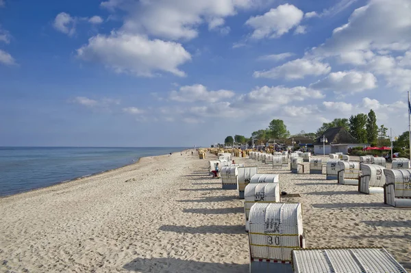 Plaj Plaj Sandalyeleri Yıldız Çiçeği Baltık Denizi Schleswig Holstein Almanya — Stok fotoğraf