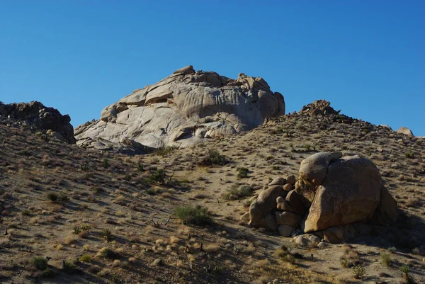 Bizarre Rotsformaties Planten Onder Blauwe Hemel Nevada — Stockfoto