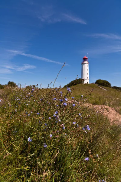 Vue Pittoresque Scène Extérieure — Photo