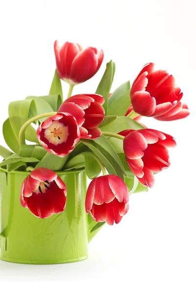Hermosos Tulipanes Flores Pétalos Primavera Flora —  Fotos de Stock