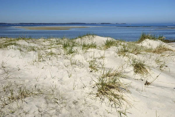Dunas Areia Praia Laboe Schleswig Holstein Alemanha — Fotografia de Stock