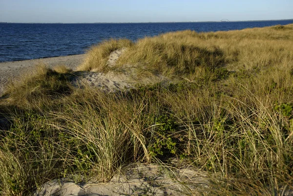 Dunas Graswarder Heiligenhafen Schleswig Holstein Alemanha — Fotografia de Stock