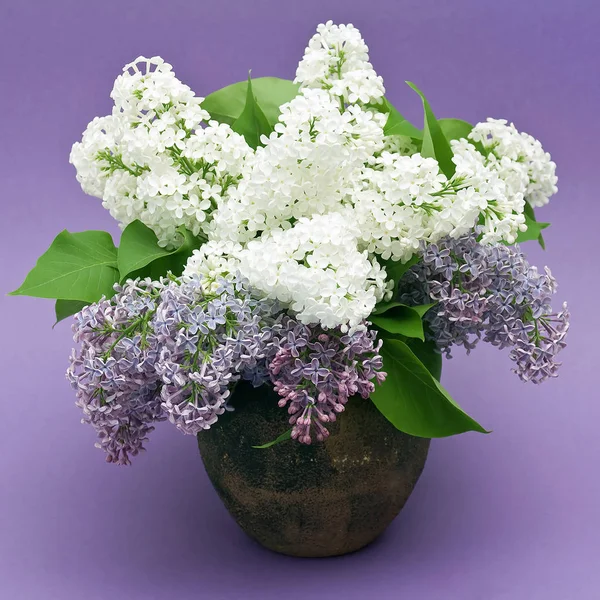 Bouquet Lilas Dans Vase — Photo
