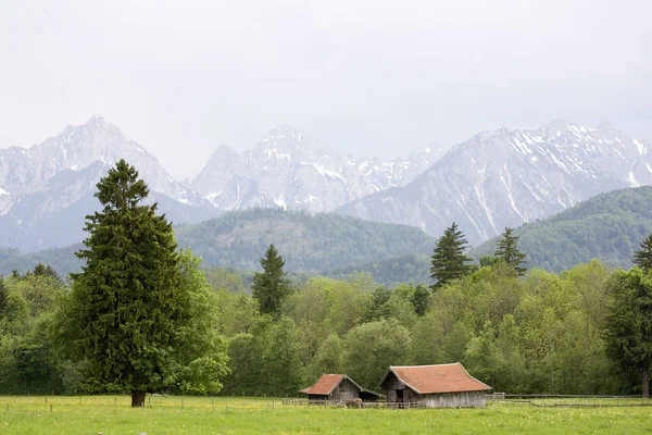 Panoráma Alpokban Németországban — Stock Fotó