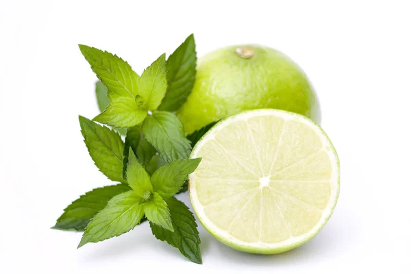 Taze Limes Nane — Stok fotoğraf