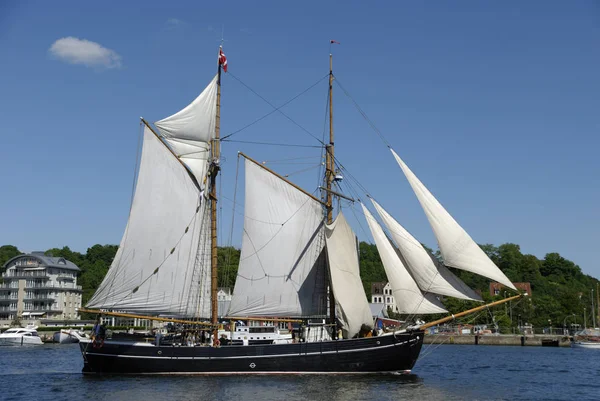 Voilier Traditionnel Dans Régate Rhum Flensburg Schleswig Holstein Allemagne — Photo