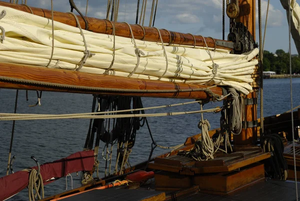 Grote Boom Van Activisme Flensburg Sleeswijk Holstein Duitsland — Stockfoto