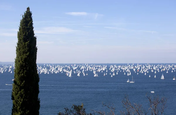 Barcolana 2010 Regaty Trieste Włochy — Zdjęcie stockowe