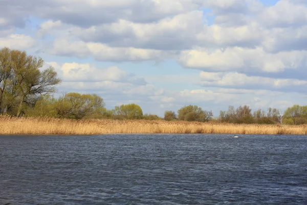 Lac Dans Une Plaine Inondable Début Printemps — Photo