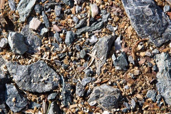 Imagen Par Piedras Con Esquejes Madera — Foto de Stock