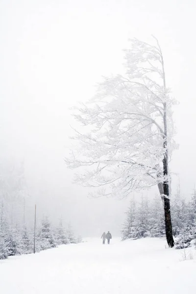 Пара Зимней Тропе Окружении Деревьев Польских Горах Бескиды Зимний Пейзаж — стоковое фото