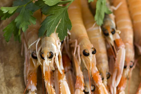 Close Scampi Frescos — Fotografia de Stock