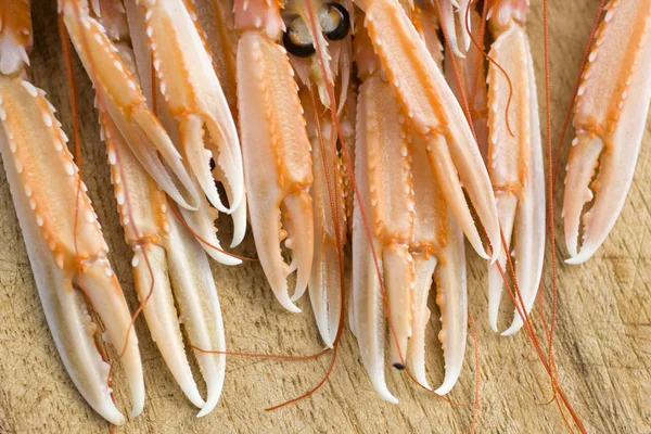 Fechar Alicates Nephrops — Fotografia de Stock