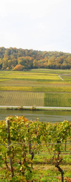 Border River Mosel Ahn Luxembourg — Stock Photo, Image