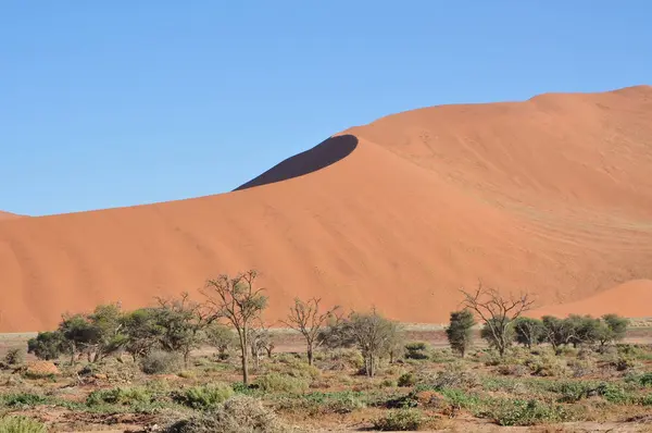 Namibia Landscape Sossusvlei — Stock Photo, Image