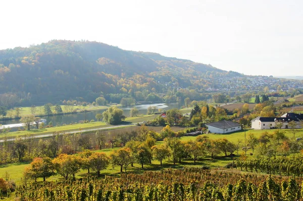 Mosel Landsbygd Nära Trier Oberbillig Hösten — Stockfoto