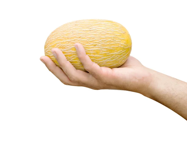 Melone Mano Isolato Fondo Bianco — Foto Stock