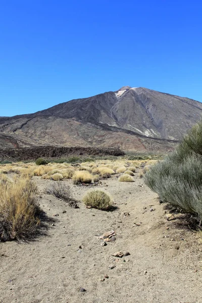 西班牙加那利群岛Tenerife的Teide山 — 图库照片