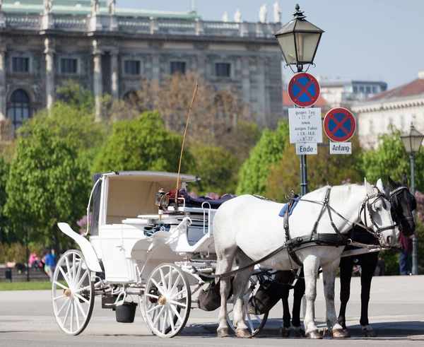 Fiaker Vienna Historiallinen Hevosvetoinen Kuljetus Kuljetusvälineenä — kuvapankkivalokuva