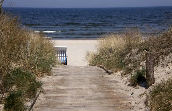 波罗的海海滩的景致 — 图库照片
