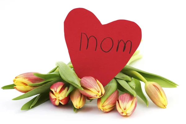 Frische Tulpen Und Herz Für Mama — Stockfoto