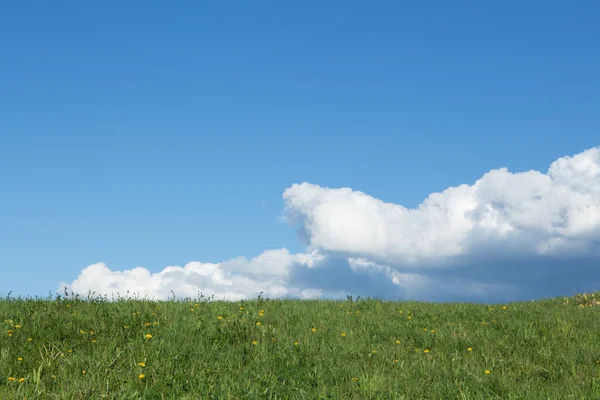 Meadow Spring Clouds Nature Color Contrast Also Suitable Background — Stock Photo, Image
